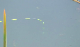 七星漂,探寻神秘星象的宇宙奥秘